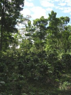Z ESPAMICA (2)